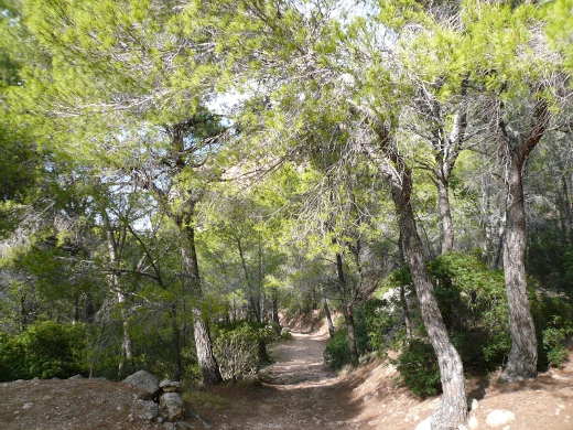 Parc Natural de S'Albufera