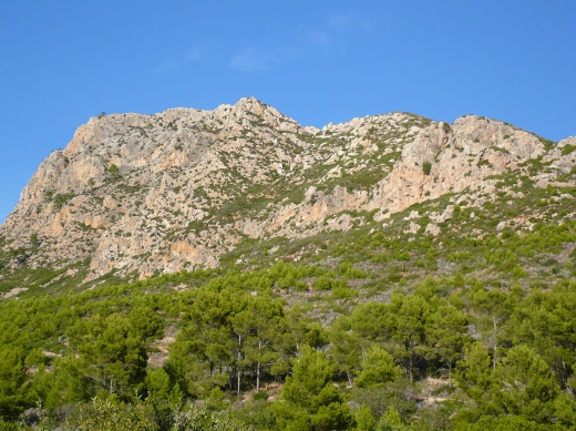 Mallorca Puig Major de Son Torrella