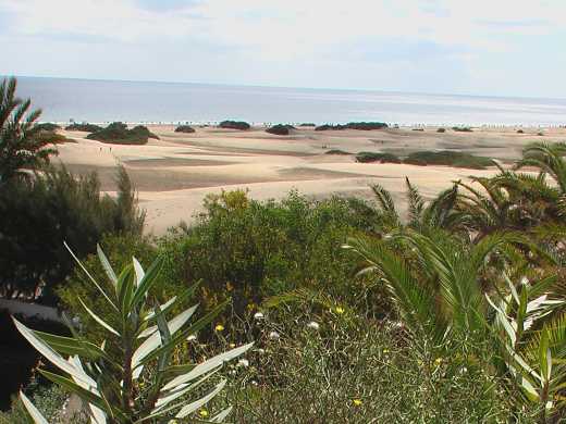 Playa de Mujeres